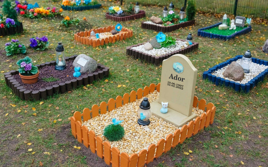 Nie tylko dla ludzi – cmentarze zwierząt w Polsce